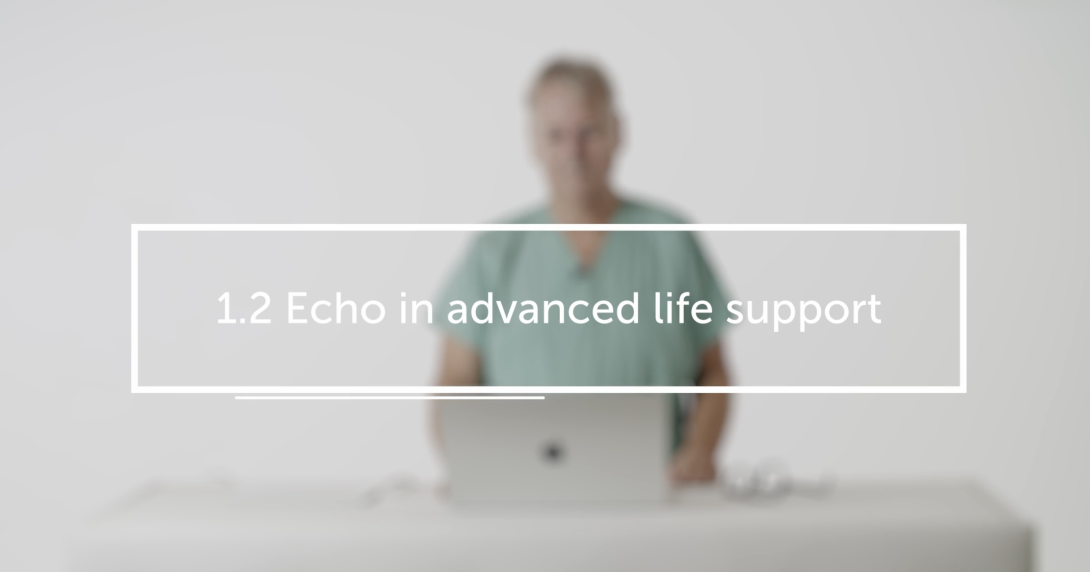 Echo in advanced life support