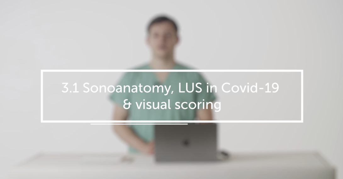 Sonoanatomy, LUS in Covid-19 & visual scoring