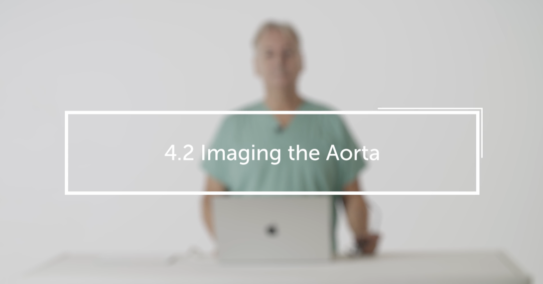 Imaging the Aorta