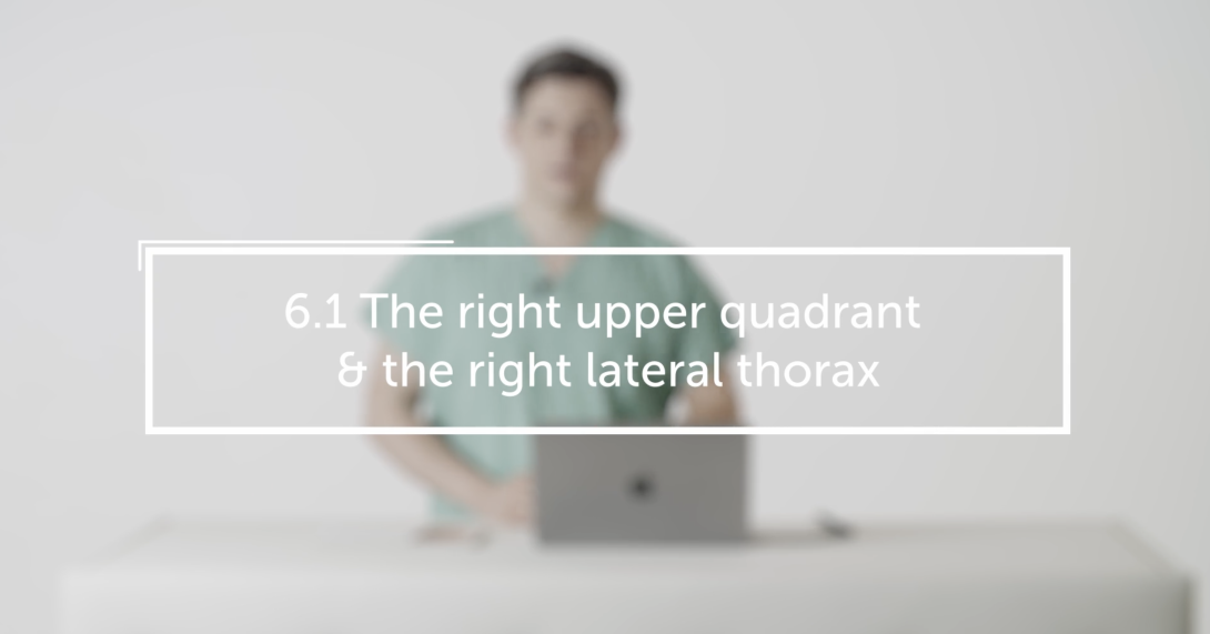 The right upper quadrant & the right lateral thorax