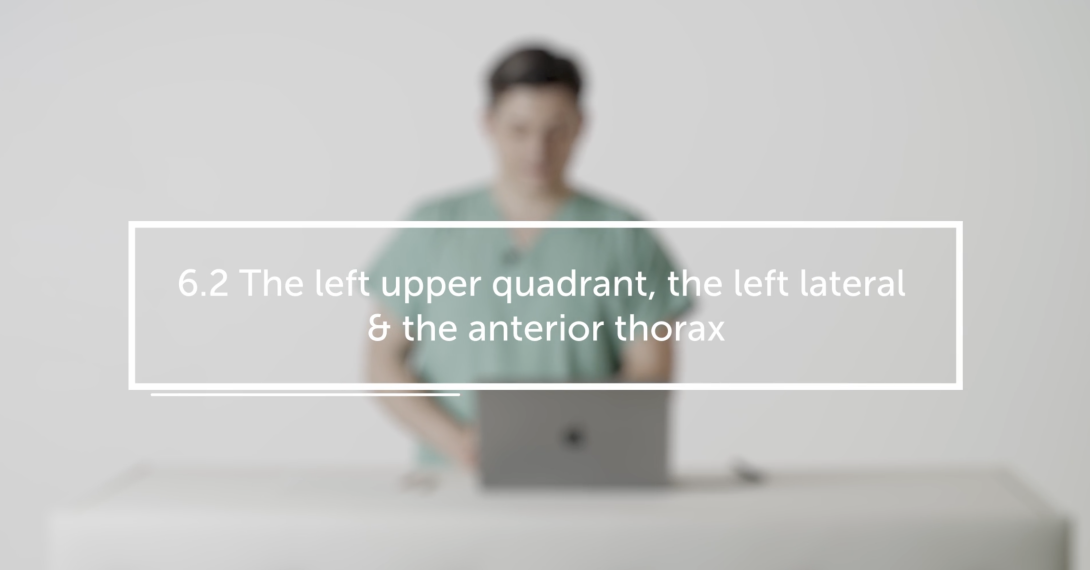The left upper quadrant, the left lateral & the anterior thorax