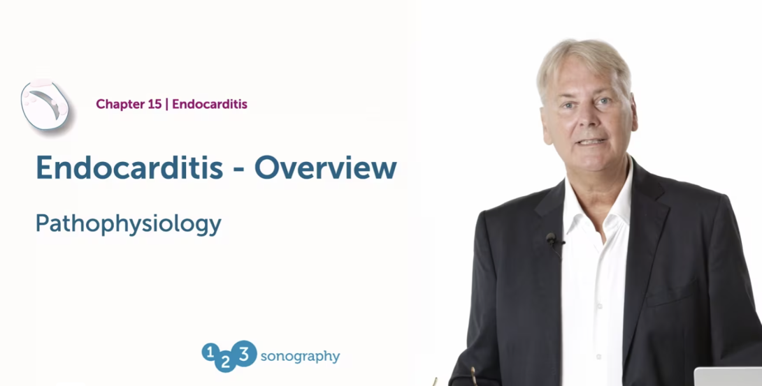 Overview - Pathophysiology