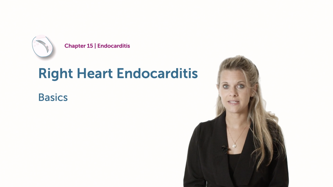 Right Heart Endocarditis - Basics