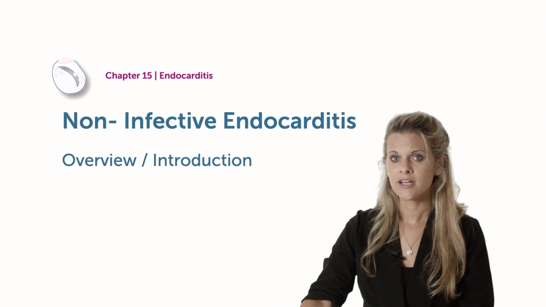 Non-Infective Endocarditis - Overview