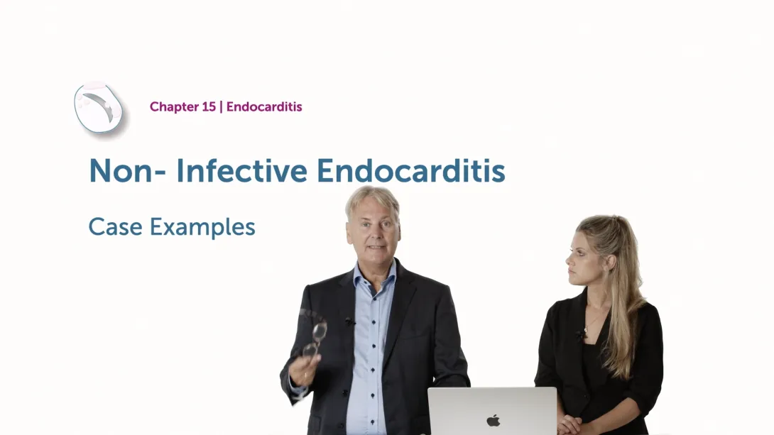 Case Examples
