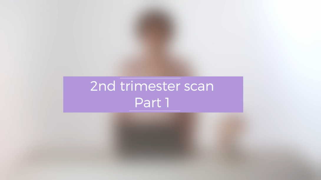 2nd trimester scan - Part 1