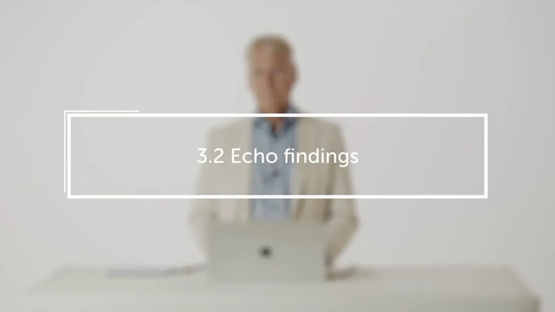 Echofindings