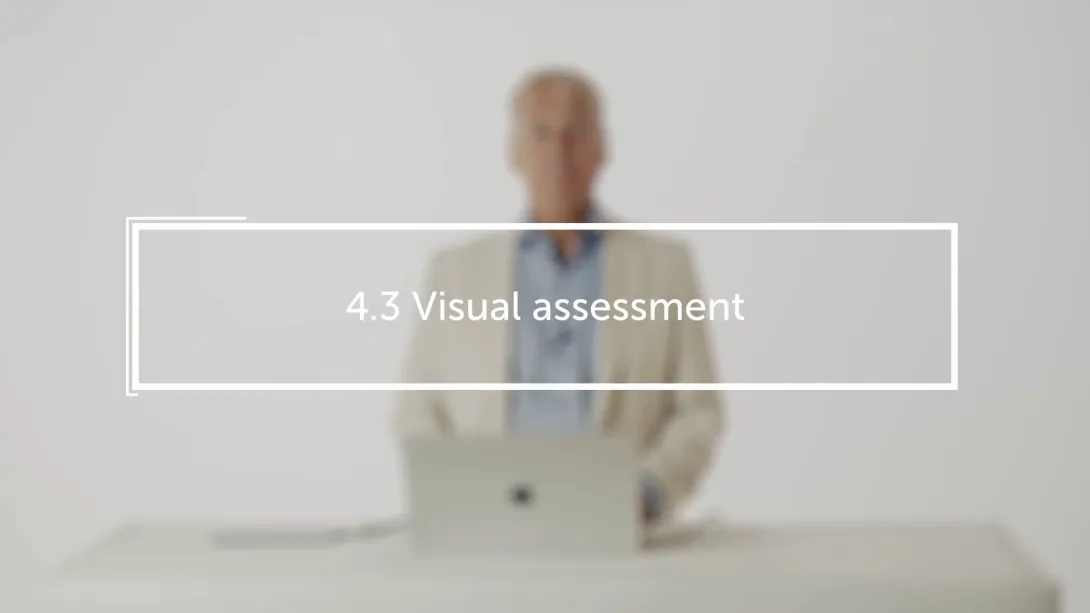 Visual assessment