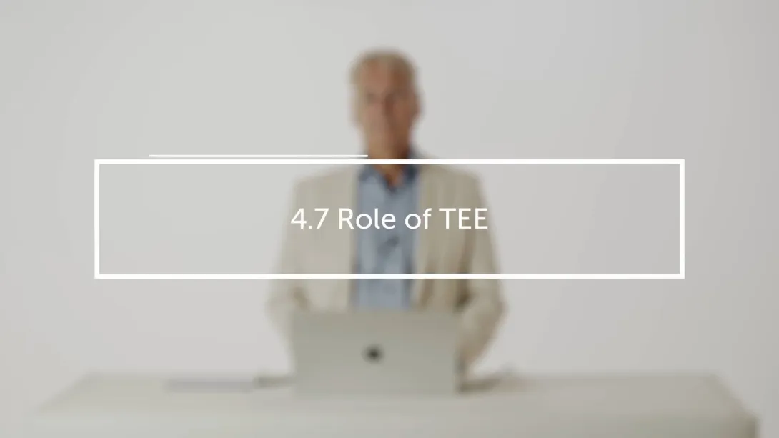 Role of TEE