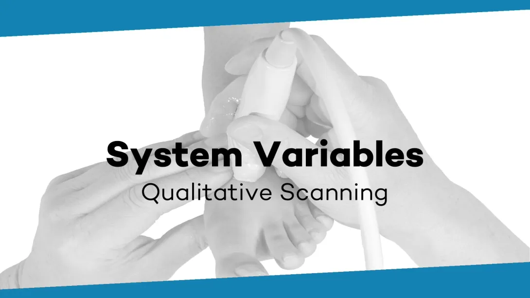System variables