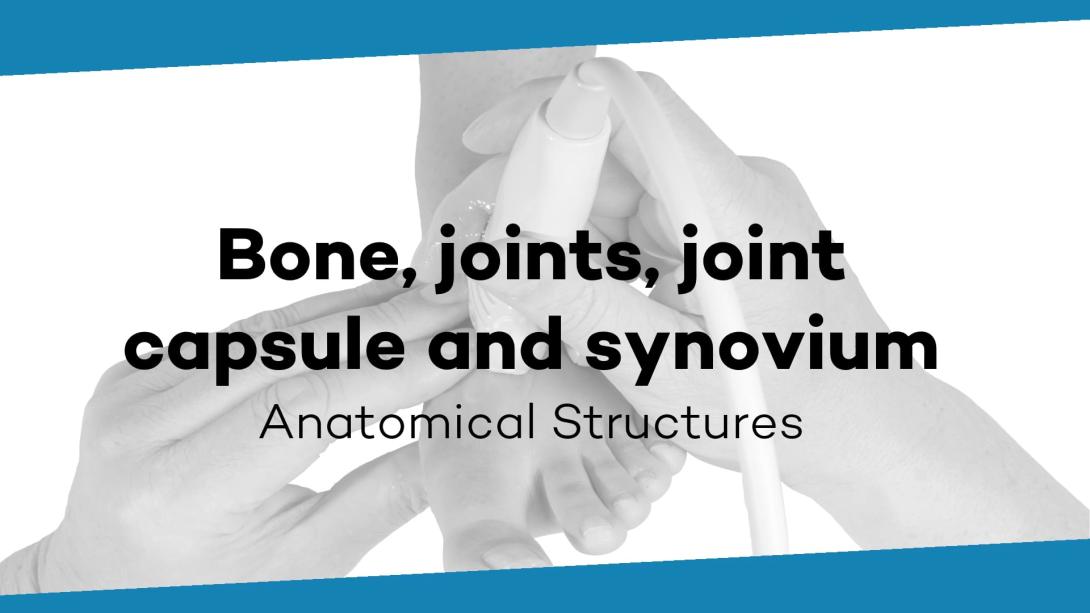Bone, joints, joint capsule and synovium