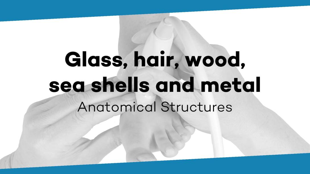 Glass, hair, wood, sea shells and metal