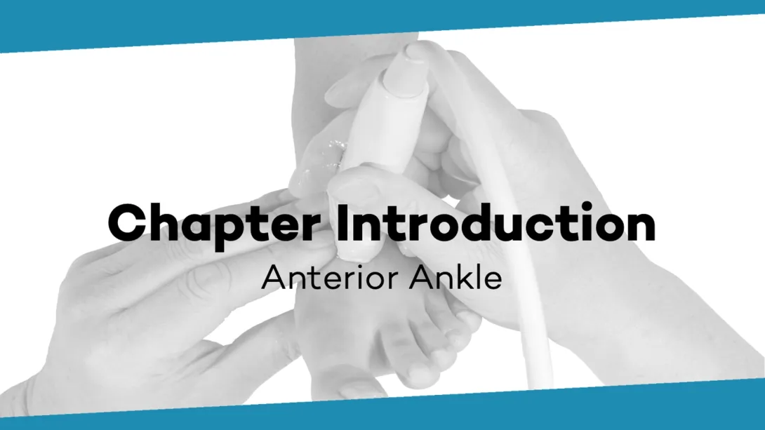 Chapter Introduction