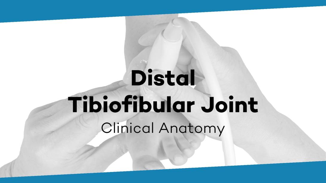 Distal tibiotalar joint