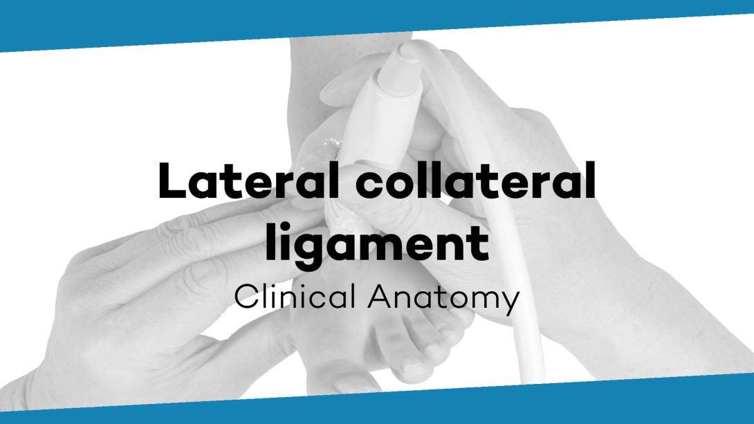 Lateral collateral ligament