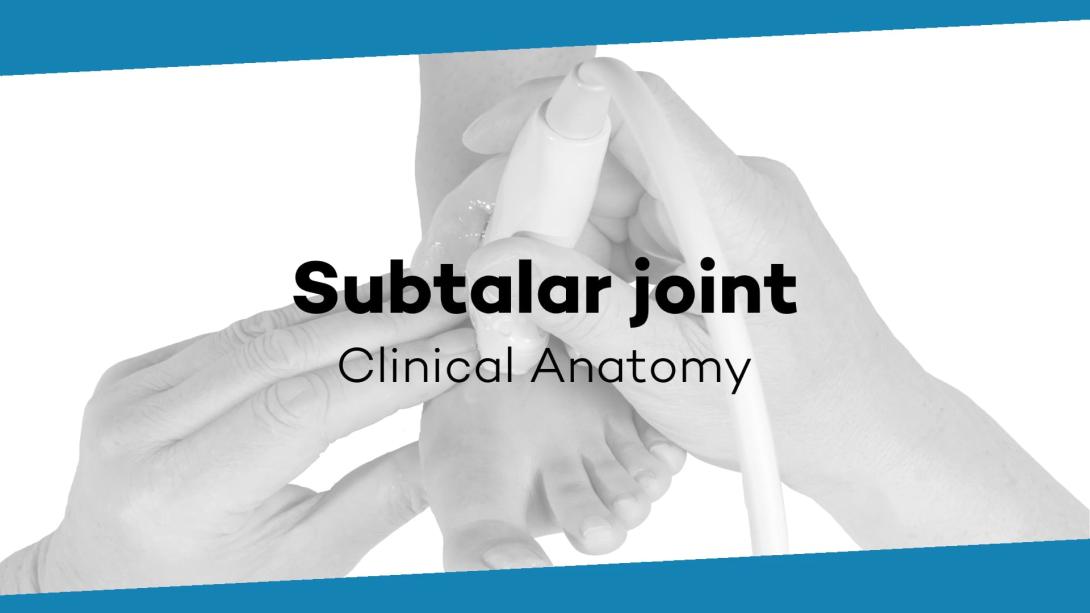 The subtalar joint