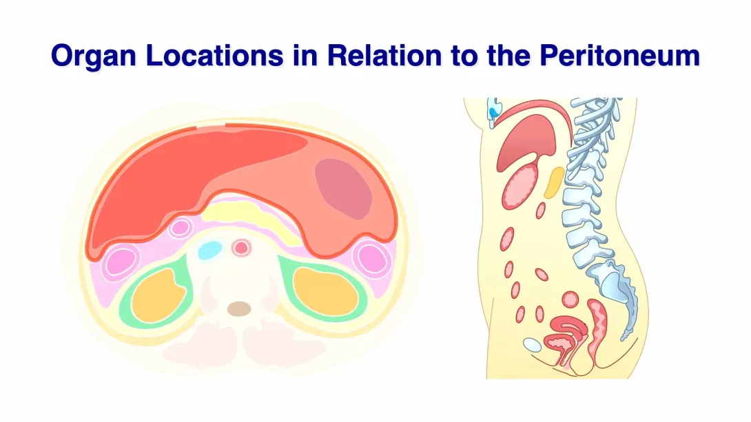 Introduction & Peritonealsitus: Is there something behind it? 