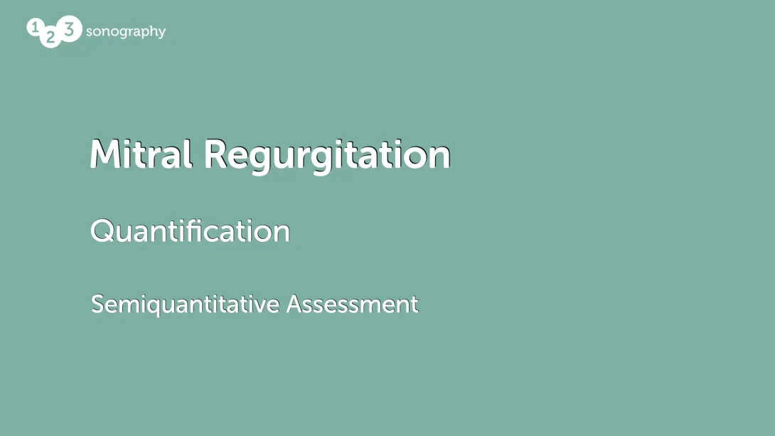 Semiquantitative Assessment