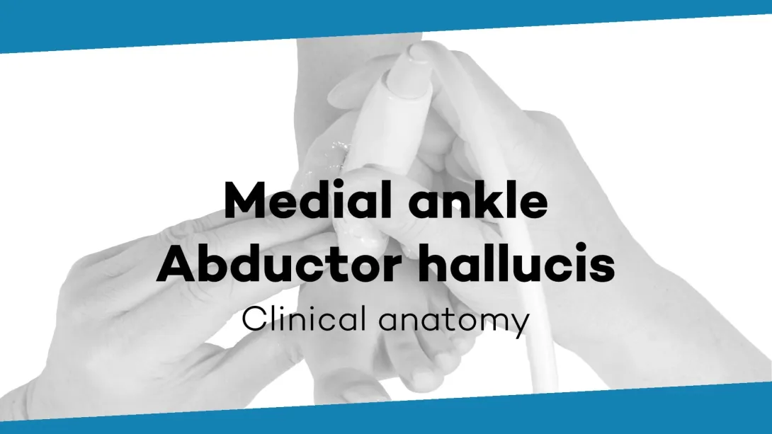 M. abductor hallucis