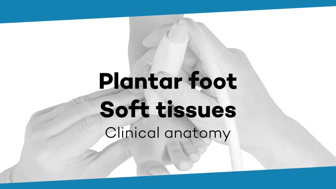 Soft tissue plantar foot and fascia plantaris