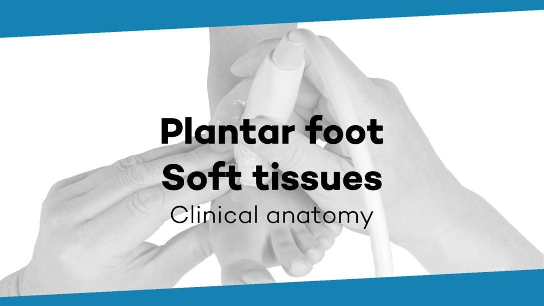 Soft tissue plantar foot and fascia plantaris