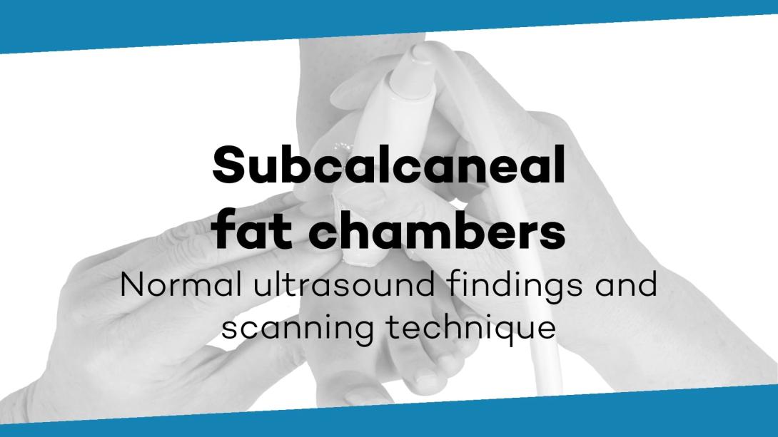 Subcalcaneal fat chamber structure
