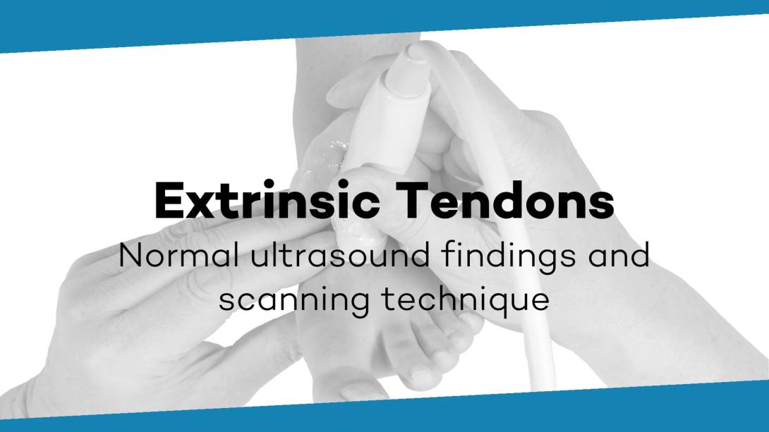 Extrinsic tendons of the foot