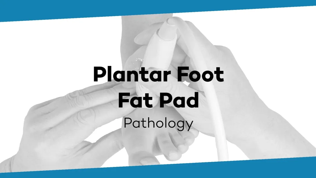 Pathological findings and scanning technique fat chambers