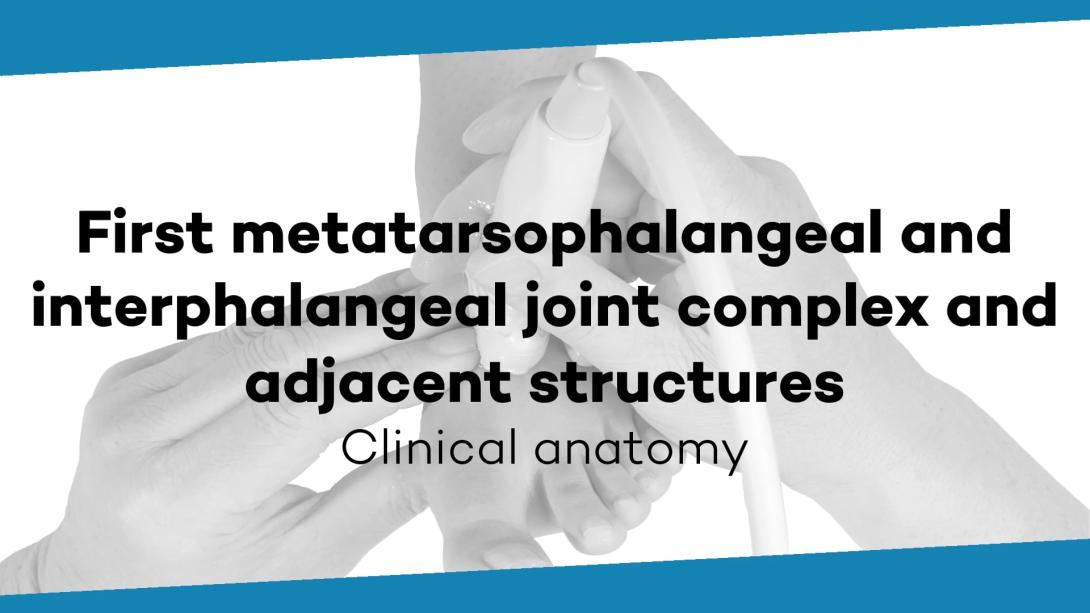 First metatarsophalangeal joint complex and interphalangeal joint