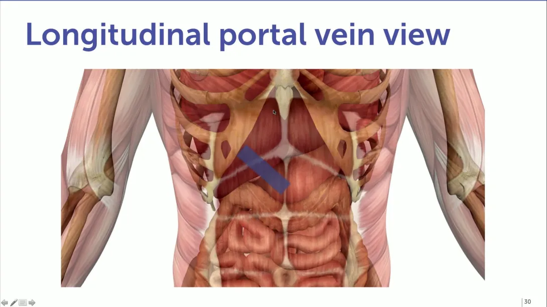 Liver: How to image 2