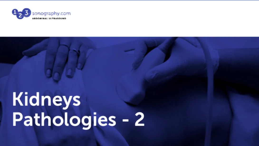 Kidneys: Pathologies 2
