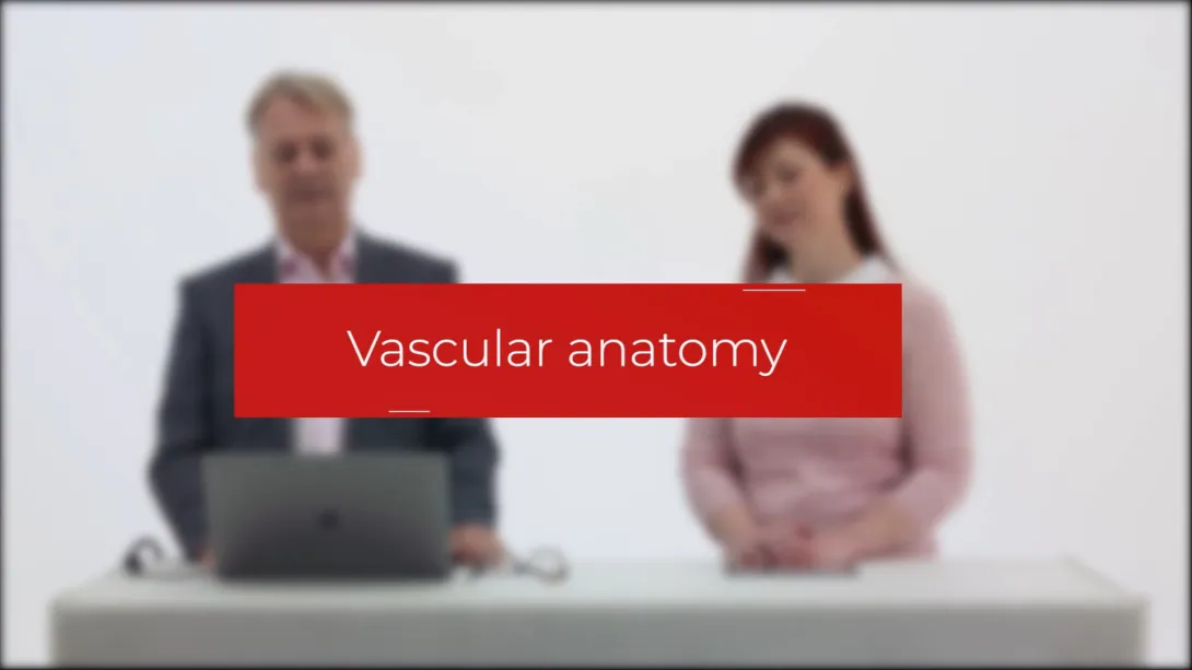 Anatomy