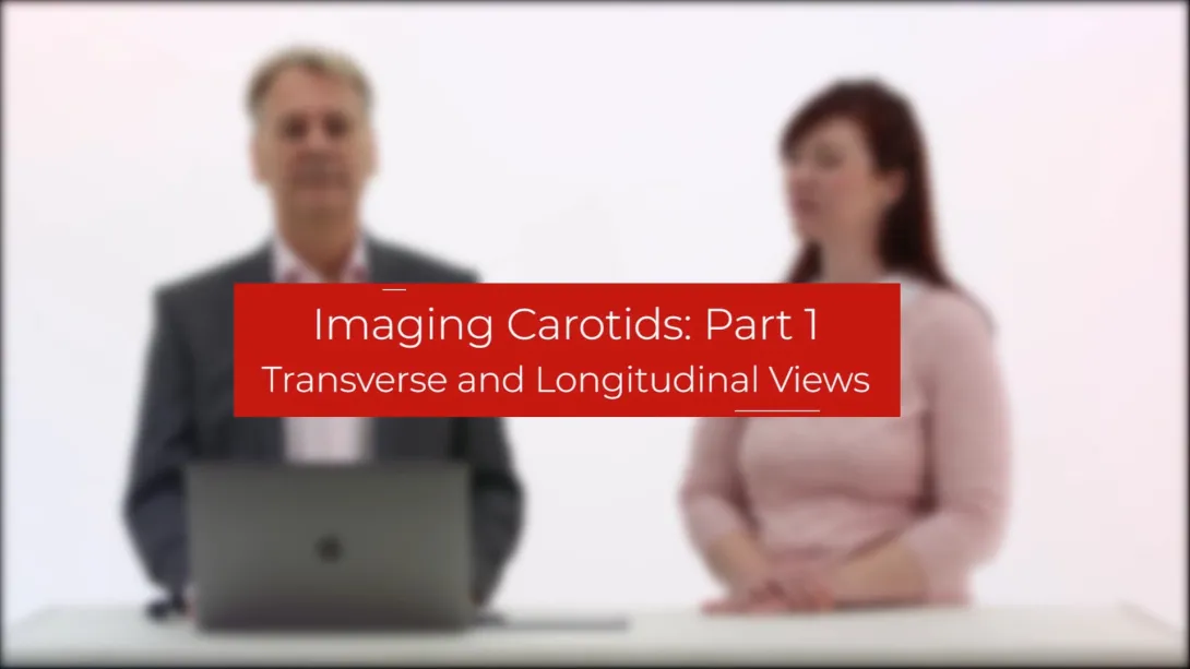Transverse and Longitudinal Views