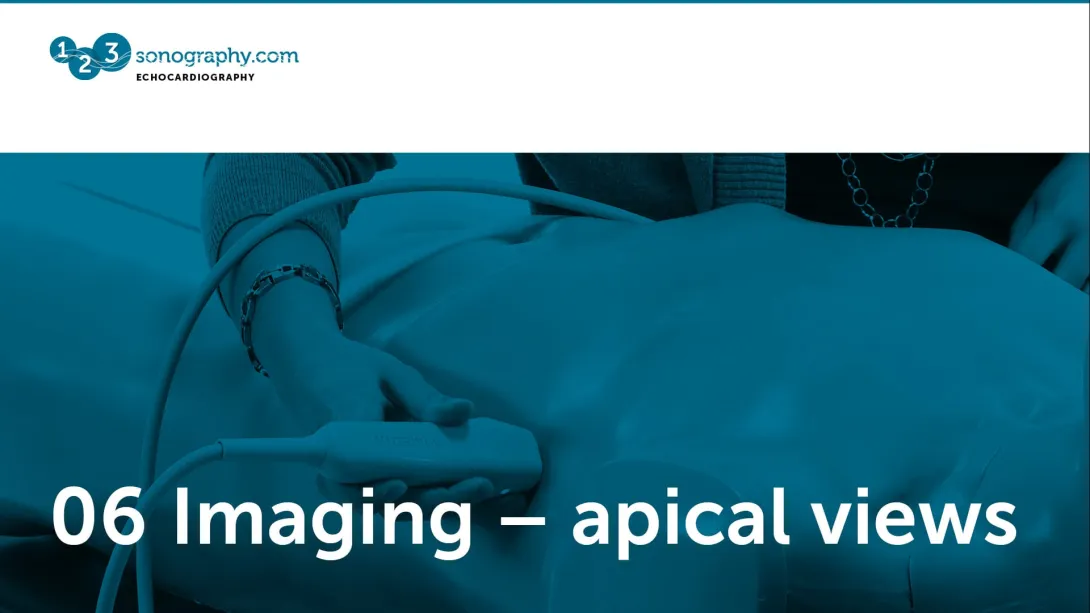 06 - Imaging - apical views