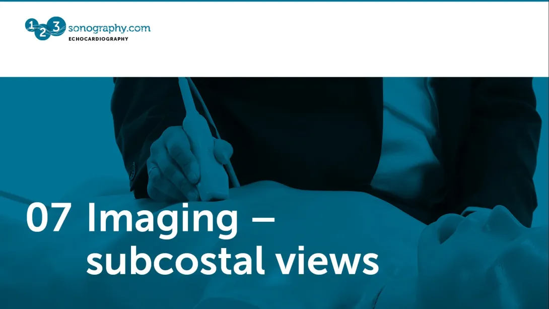 07 - Imaging - subcostal views 