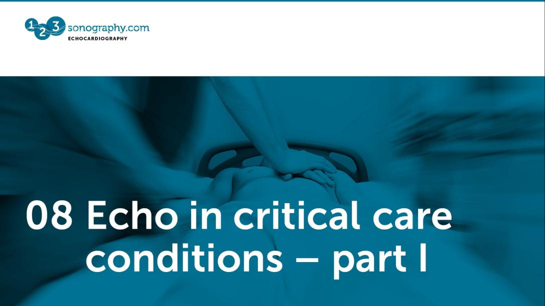 08 - Echo in critical care conditions - part 1