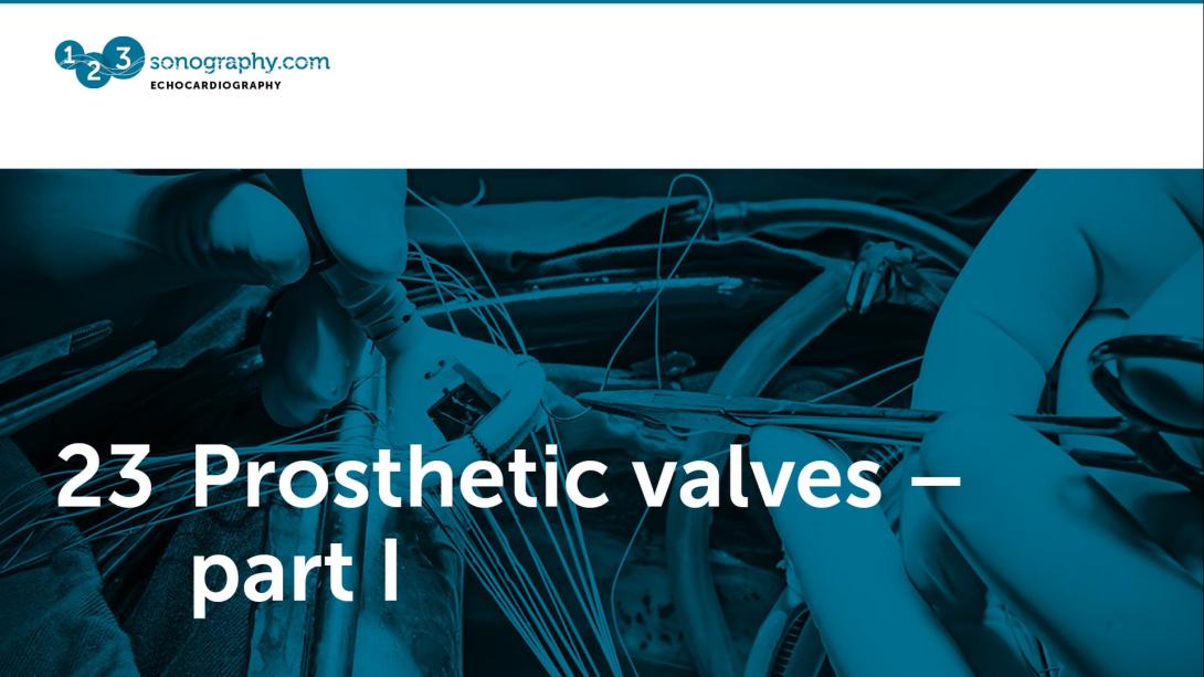 23 - Prosthetic valves part 1