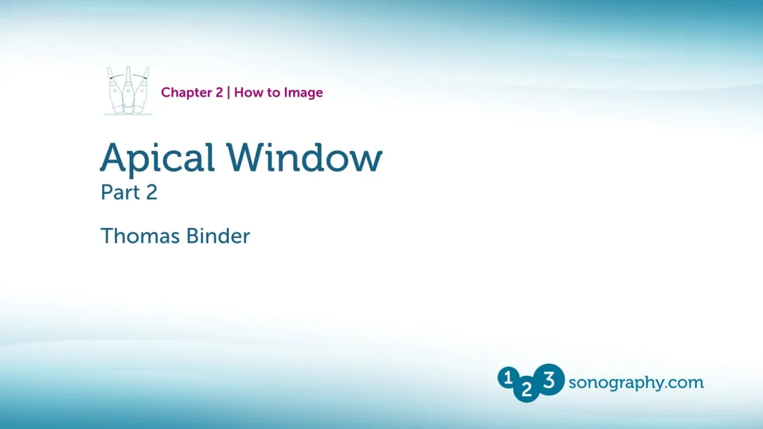 Apical Window - Part 2