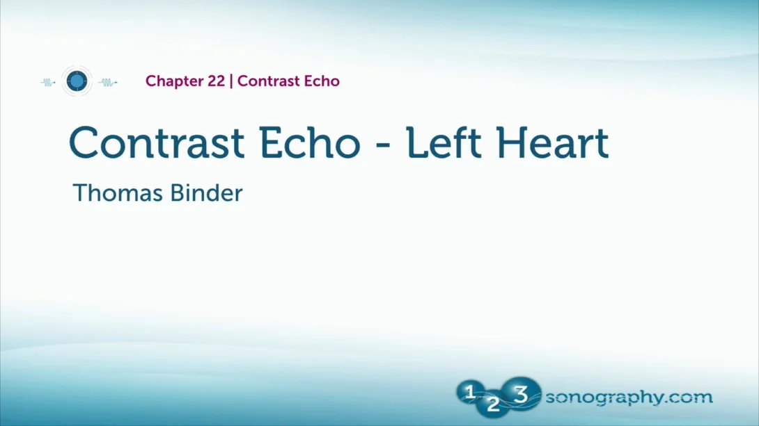 Contrast Echo Part 2