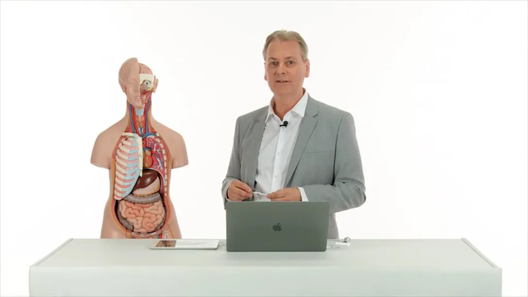Lung