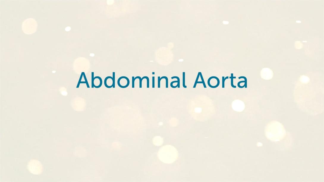 Abdominal Aorta