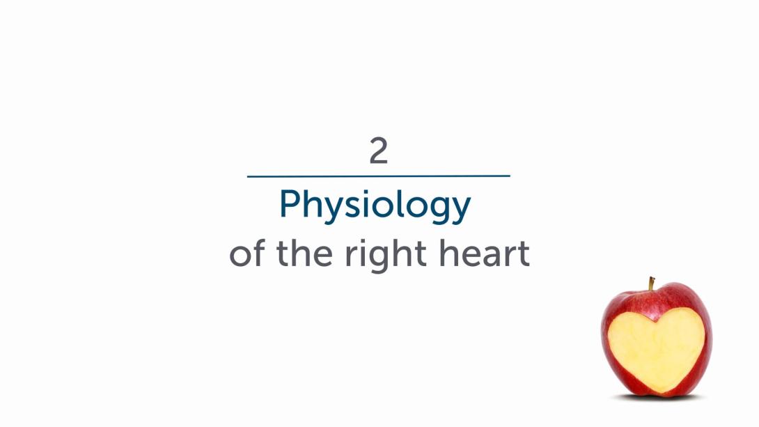 Physiology of the Right Heart