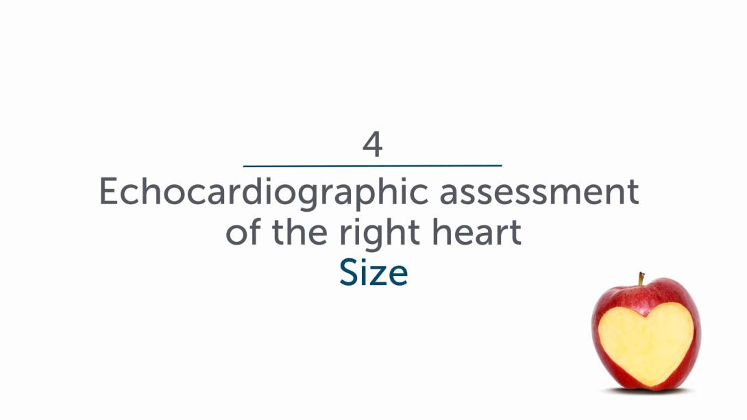 Echocardiographic Assessment - Size