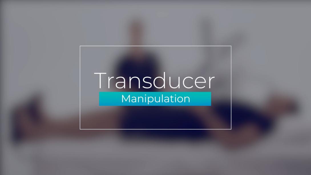 Transducer Manipulation