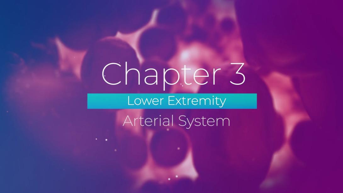 Lower Extremity Arterial Anatomy