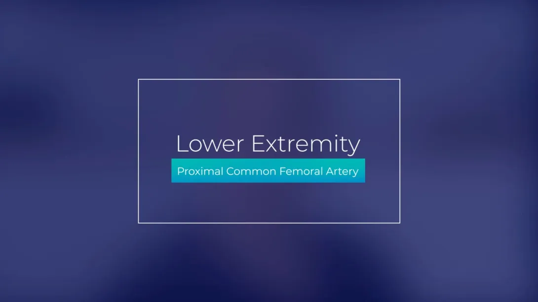 Proximal Common Femoral Artery