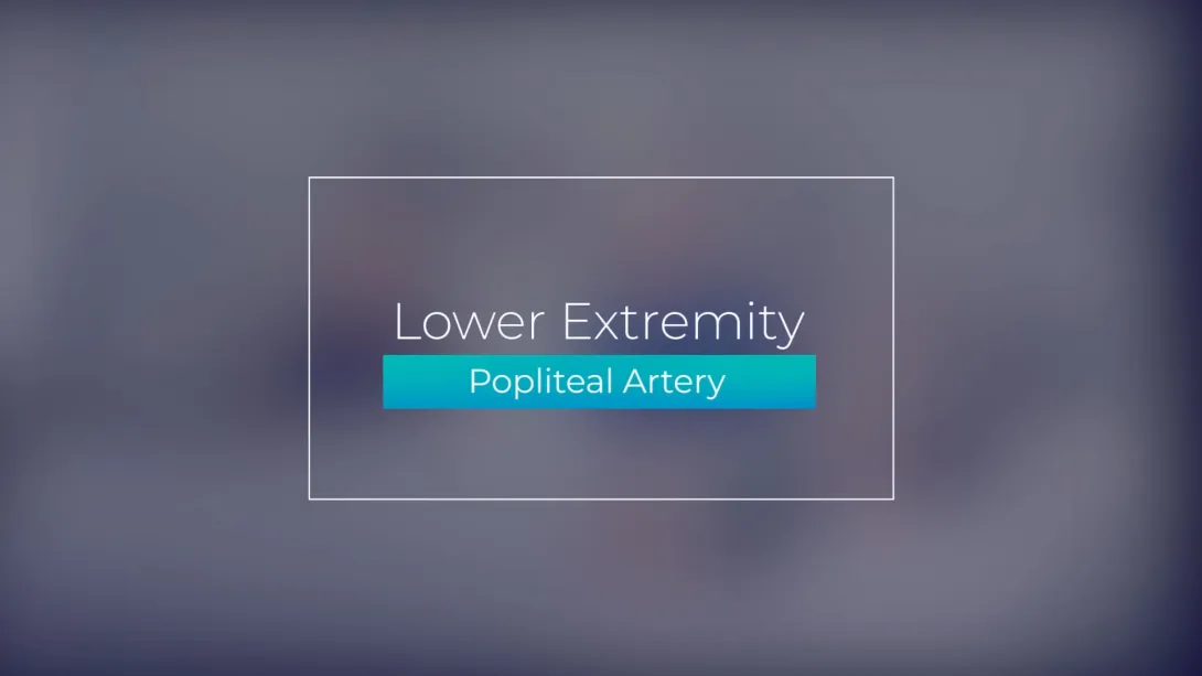 Popliteal Artery