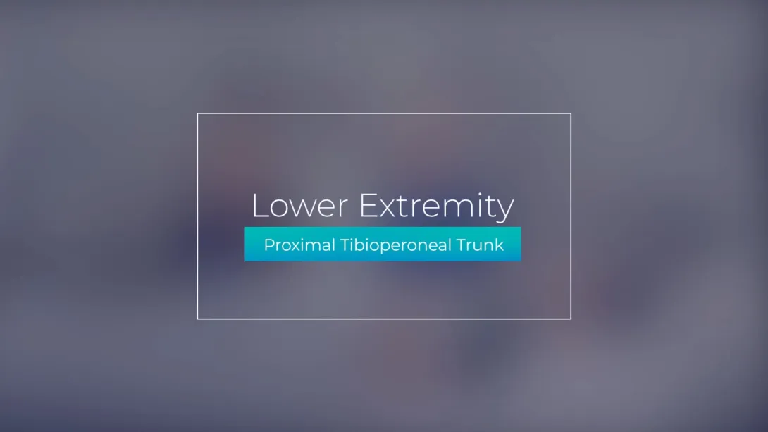 Proximal Tibioperoneal Trunk