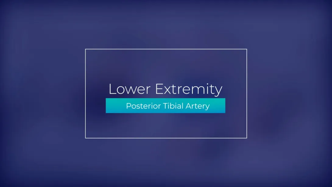 Posterior Tibial Artery