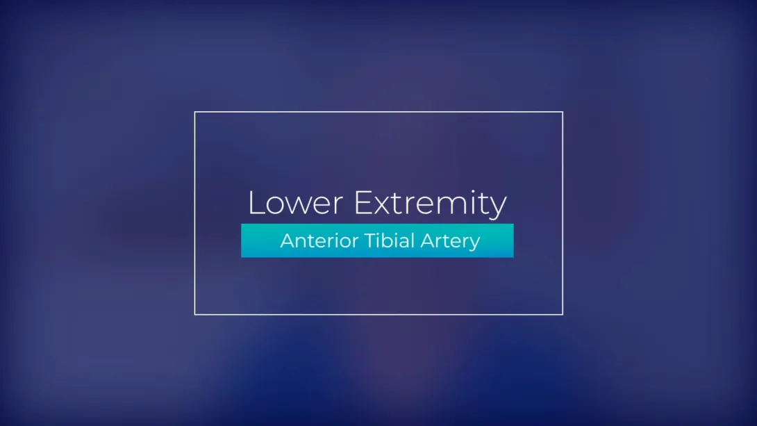 Anterior Tibial Artery